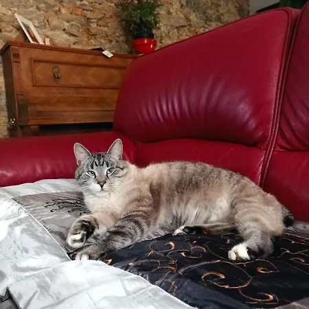 La Douce Parenthese -nature, Convivialite & Serenite Bed & Breakfast