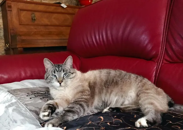 La Douce Parenthese -nature, Convivialite & Serenite ベッド・アンド・ブレックファスト